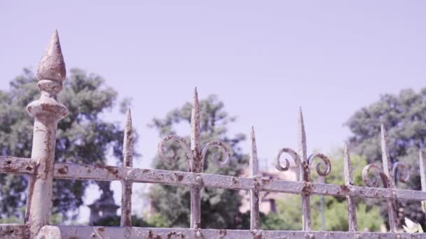 Metal fence with small spires covered with old white paint — Stock Video