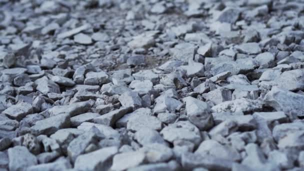 Kleine hellgraue Kieselsteine auf dem Boden bei Sonneneinstrahlung Nahaufnahme — Stockvideo
