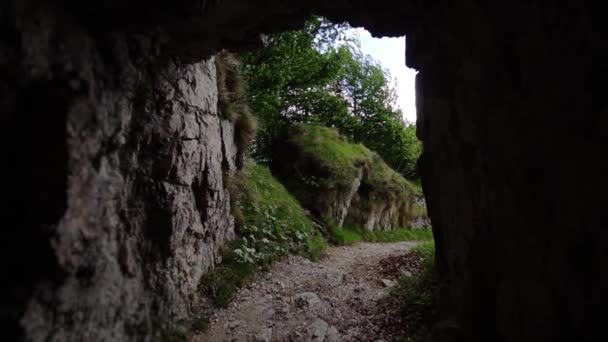 Plantas verdes por la entrada a la cueva de montaña estrecha desde el interior — Vídeo de stock