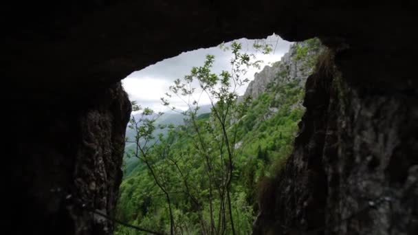 Árvore jovem cresce perto da entrada para caverna de montanha estreita — Vídeo de Stock