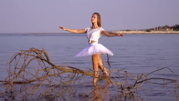 Mulher em tutu e t-shirt dança balé perto de ramo na água — Vídeo de Stock