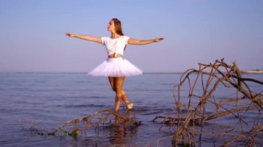 Çekici balerin suda kurumuş ağaç dalının yanında dans eder.