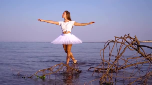 Attraktiv ballerina dansar nära torr trädgren i vatten — Stockvideo