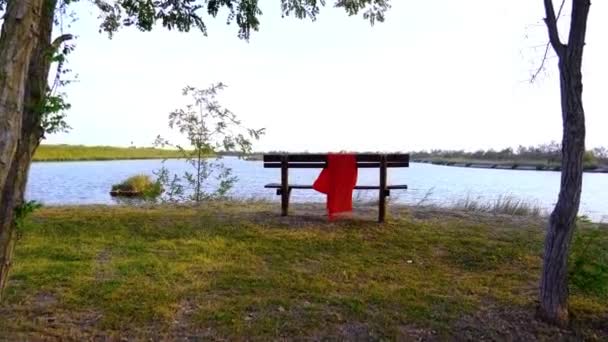 大きな赤い色のスカーフは、茶色のベンチに光の風によって振って — ストック動画