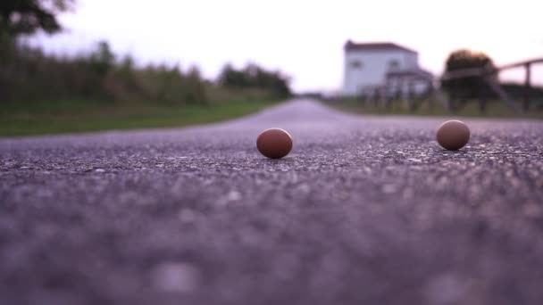 Little bird eggs of brown colour roll on grey asphalt road — Stock Video