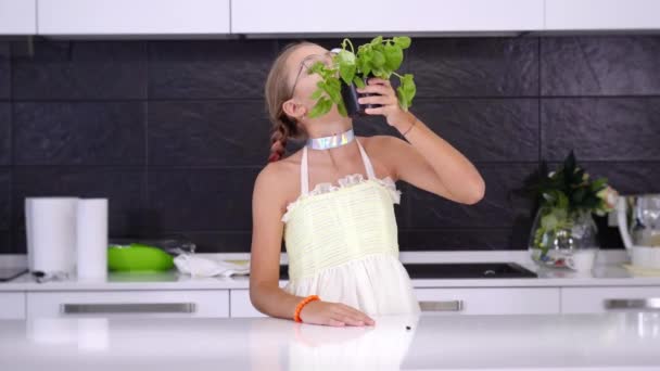 Menina engraçada com tranças come hortelã fresca na panela na cozinha — Vídeo de Stock