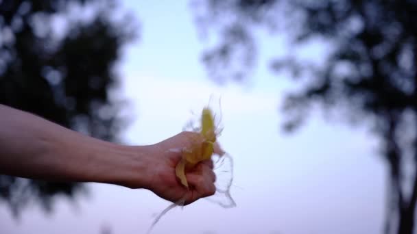 Person hand crushes egg of brown colour and throws shell — Stock Video