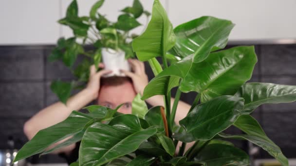 Grapje man verschijnt met groene pot plant op hoofd closeup — Stockvideo