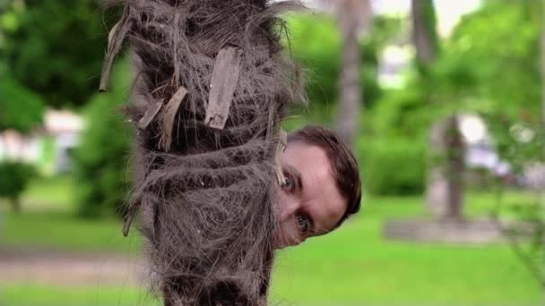 Man looks out of palm tree making grimaces in green garden — Stock Video