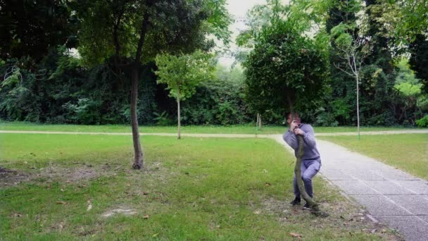 Забавный актер пытается спрятаться за молодыми деревьями в зеленом парке — стоковое видео