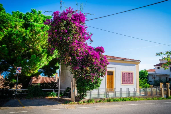 Casa Italiana Com Belas Flores Atrás — Fotografia de Stock