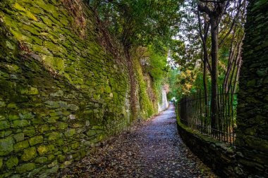 Yol Park ile yeşil yosunlu duvar bir yana, Rapallo, İtalya 
