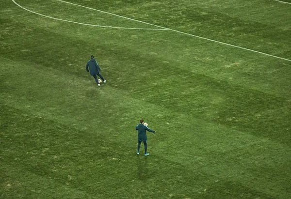 Campo Entrenamiento Fútbol Esquina Bandera Fútbol Campo Fútbol —  Fotos de Stock