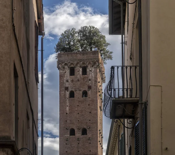 Lucca Historické Centrum Přírodní Krajiny Itálie — Stock fotografie