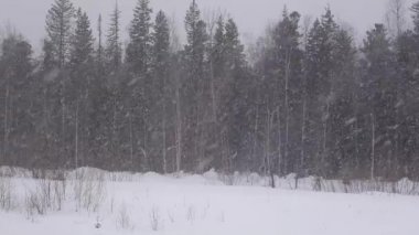 hareketli bir yolcu treninin penceresinden görüntüleyebilirsiniz. Tipik bir kış Rus kış manzara pencerenin dışında hareket.