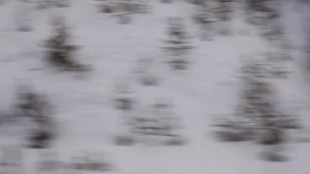 从一个移动的旅客列车的窗口的看法 典型的冬季俄罗斯冬季景观在窗外移动 — 图库视频影像