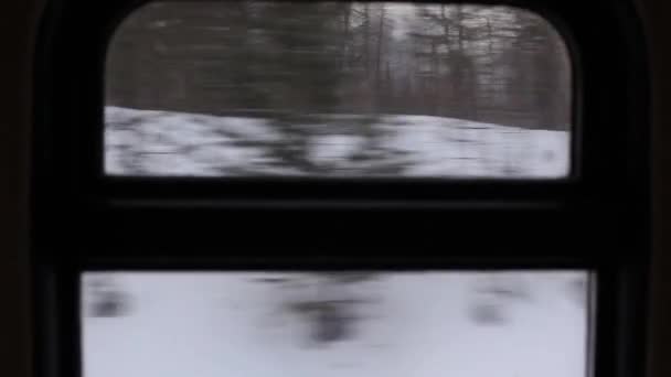 Вид Окна Движущегося Пассажирского Поезда Типичный Зимний Зимний Пейзаж России — стоковое видео