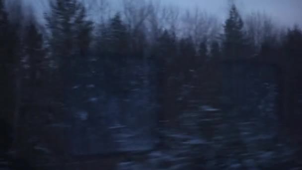 View Window Moving Passenger Train Typical Winter Russian Winter Landscape — Stock Video