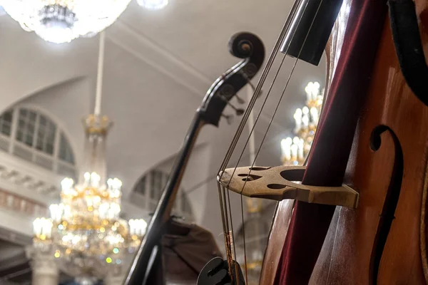 Contrabass Stage Philharmonic — Stock Photo, Image