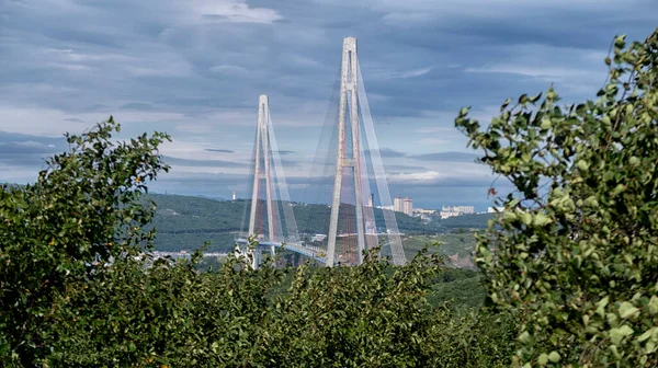 Ponte Russky Attraverso Stretto Del Bosforo Orientale Vladivostok Russia Immagine Stock