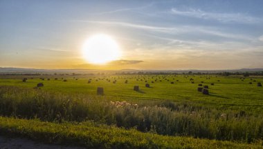 Güneşin arka planındaki manzara. Sabah erkenden.