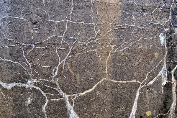 Fond Texture Béton Fissuré Surface Grise Avec Fissures Rapprochées Beaucoup — Photo
