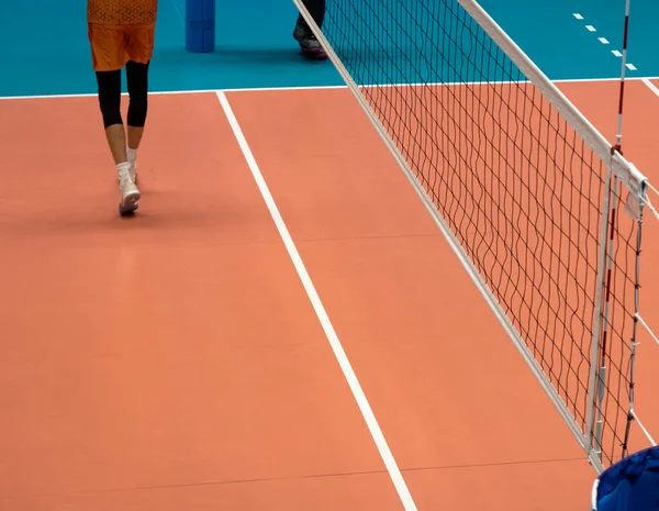 Equipa Voleibol Antes Partida Treinamento Torneio Voleibol Competição Equipes Esportivas — Fotografia de Stock