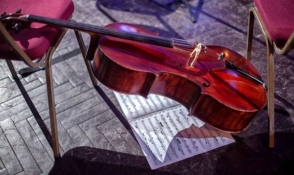 交响乐团的乐器在音乐会前休息 — 图库照片