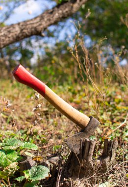 Bir balta ile Bahçedeki ağaçlar aşağı kesme Stump, sıkışmış balta