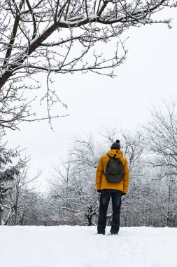 Bir kış manzara arka plan üzerinde yeşil bir sırt çantası ile bir turuncu ceketli adamı