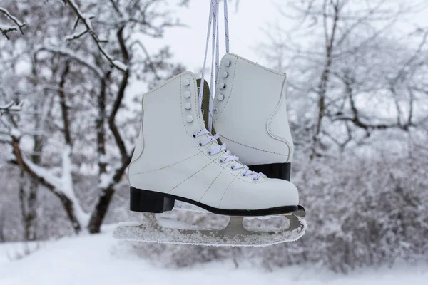 White womens ice skates — Stock Photo, Image