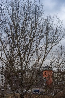 Bir kış Berlin penceresinde göster