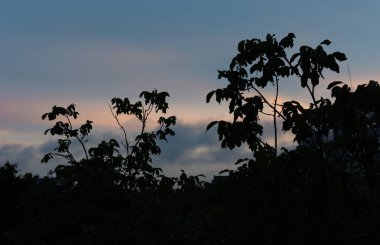 Şehirde sessiz rahat gün batımı