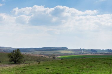 güneşli bahar manzarası