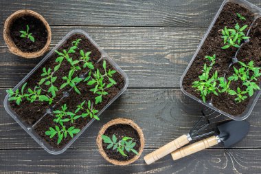 Fide ile çevre dostu tencere