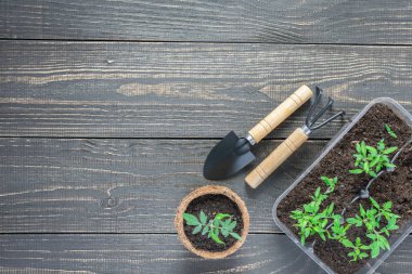 Fide ile çevre dostu tencere