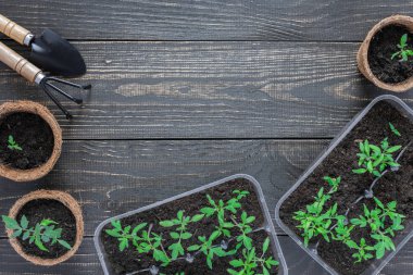 Fide ile çevre dostu tencere