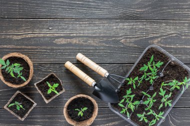 Fide ile çevre dostu tencere