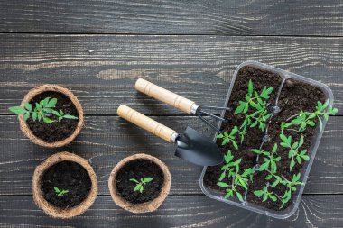 Fide ile çevre dostu tencere