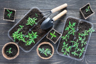 Fide ile çevre dostu tencere