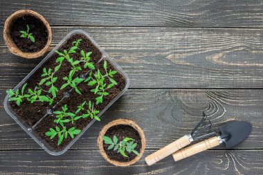 Fide ile çevre dostu tencere