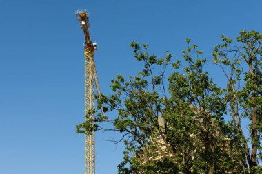 Berlin'in merkezinde onarım çalışmaları