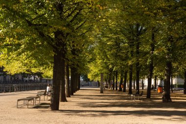 Müze Adası'nda park Lustgarten