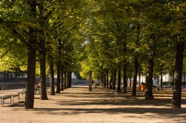 Müze Adası'nda park Lustgarten