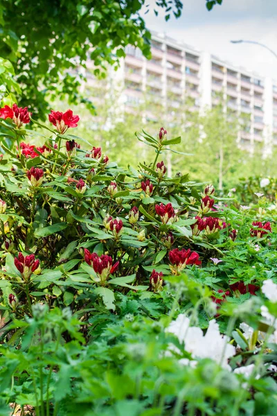 Beautiful bright colors of the city — Stock Photo, Image