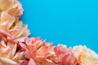 Şakayık buketi üzerinde üst görünüm