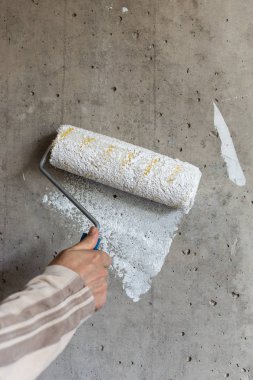 Boya rulosu ile ressam eli