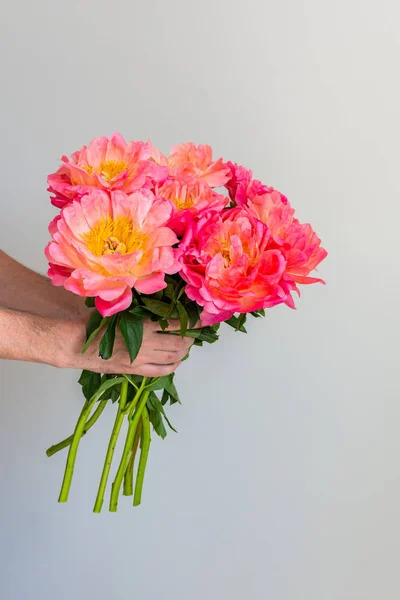 Hermoso ramo de peonías rosadas — Foto de Stock