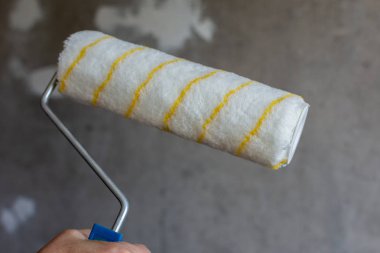 Boya rulosu ile ressam eli