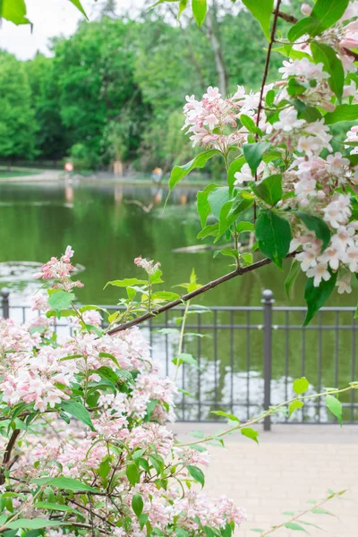 Lago en el parque Volkspark Friedrichshain — Foto de Stock